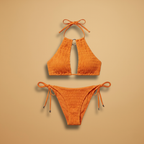 Women’s Summer Halter Bikini Set with Low-Cut Bikini Bottoms